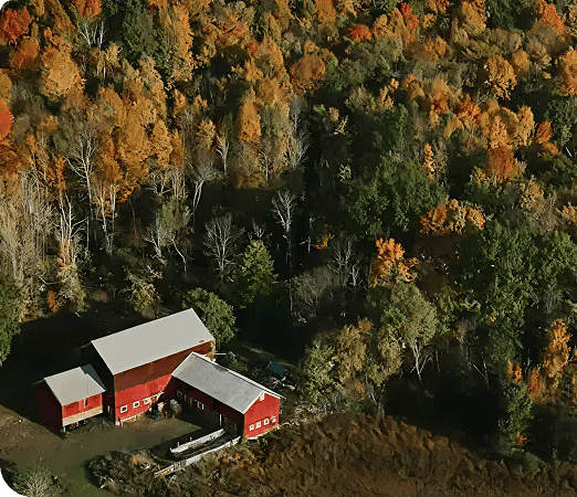RED COTTAGE